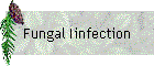 Fungal Iinfection